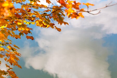 Cloud autumn color photo