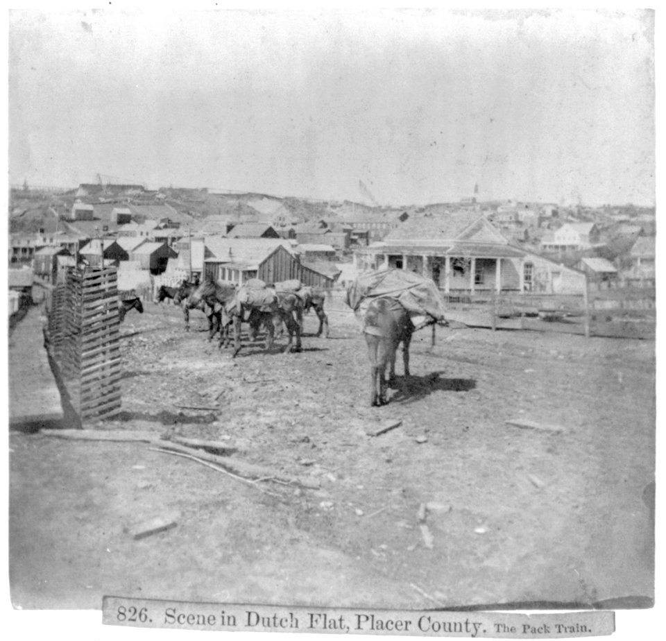 Scene in Dutch Flat, Placer County. The pack train LCCN2002725354
