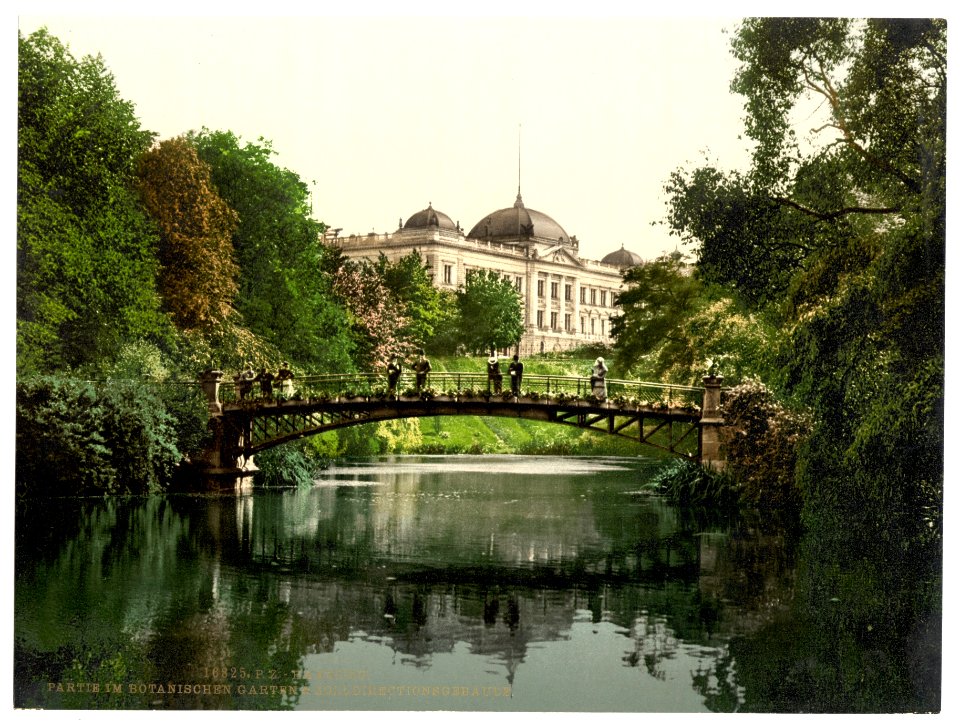 Scene in the Botanical Gardens with Director of Customs Building, Hamburg, Germany-LCCN2002713685