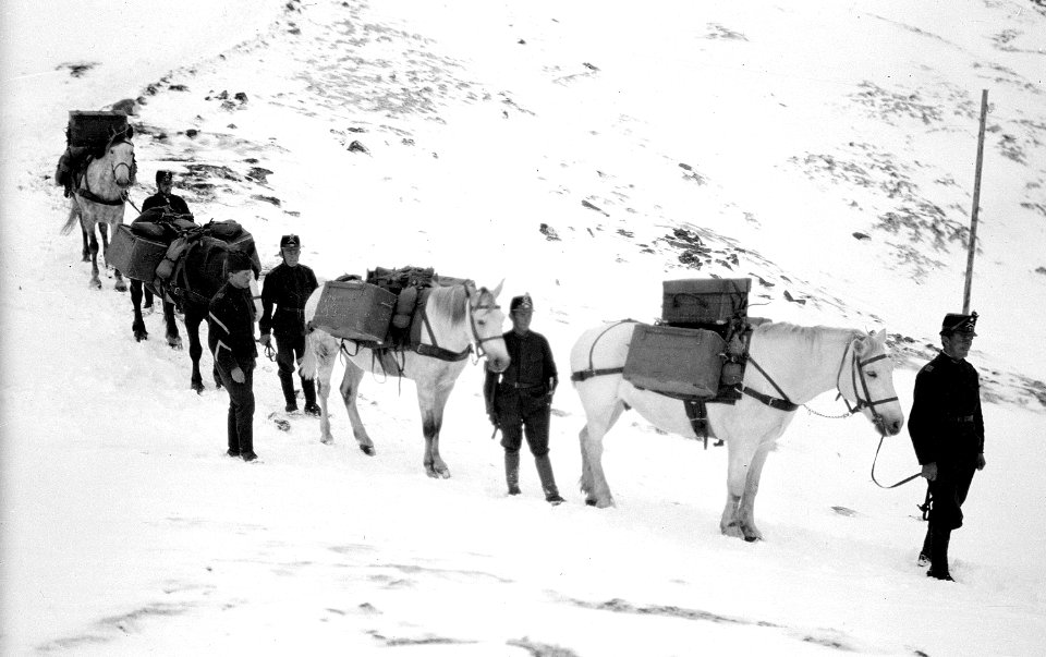 Saumkolonne auf dem Abstieg von der Dreisprachenspitze - CH-BAR - 3237042