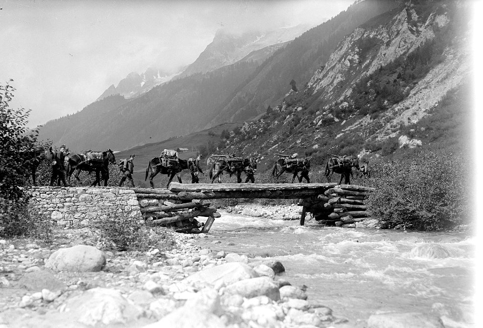 Saumkolonne auf dem Marsch - CH-BAR - 3237013