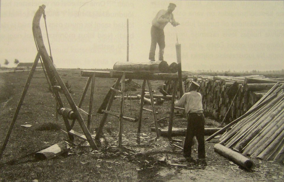 Sawing in Estonia 1913