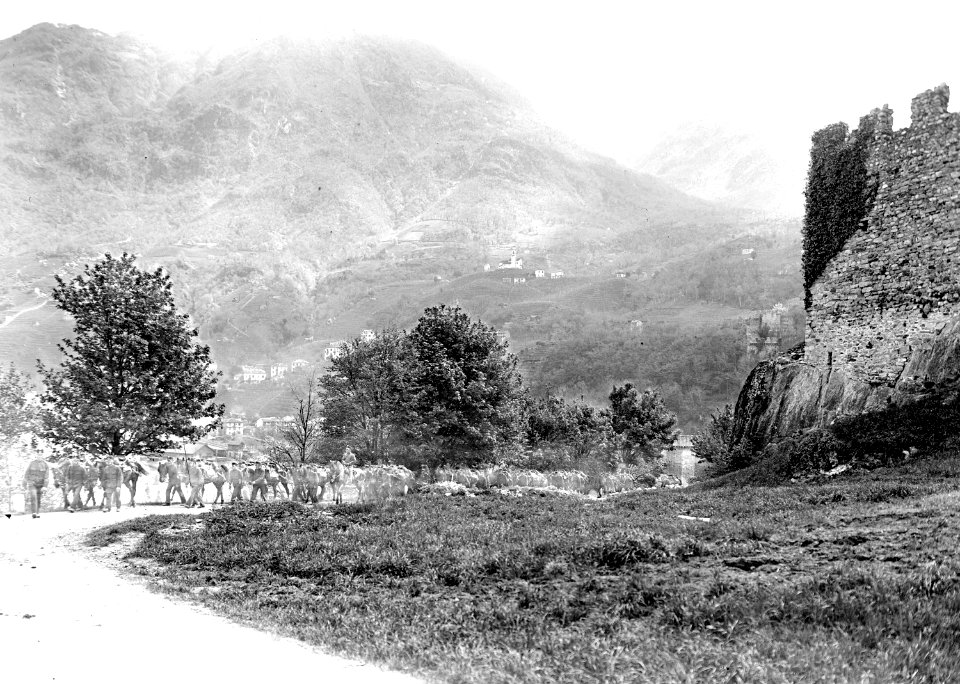 Saumtierkolonne beim Schloss Uri - CH-BAR - 3239564