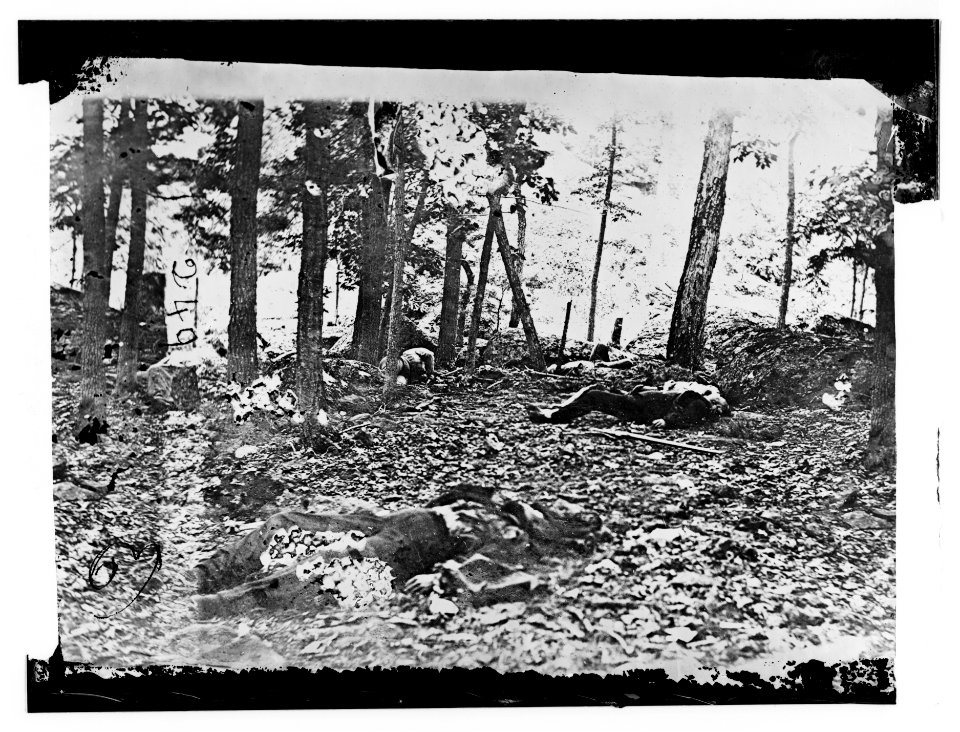 Scene in the woods at foot of Round Top at Battle of Gettysburg LOC cwpb.00871