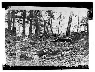 Scene in the woods at foot of Round Top at Battle of Gettysburg LOC cwpb.00871
