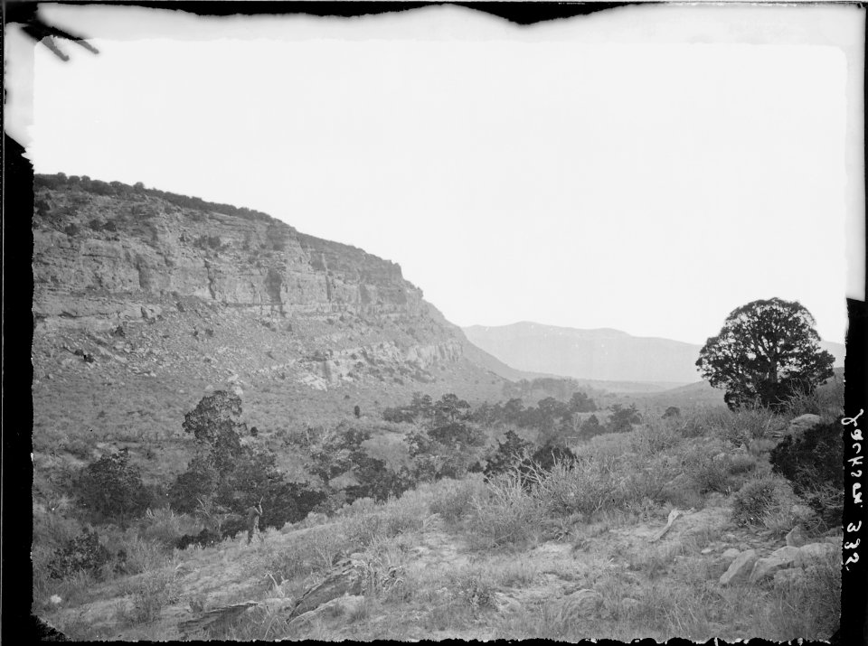 Scene near the head of Red Creek. Daggett County, Utah - NARA - 516943