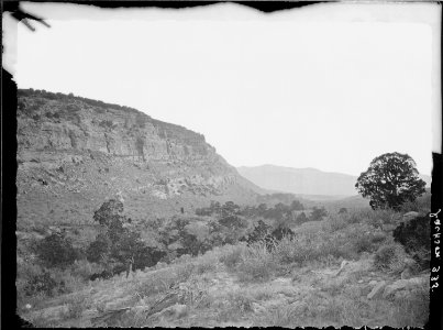 Scene near the head of Red Creek. Daggett County, Utah - NARA - 516943