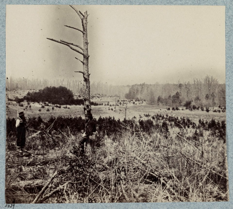 Scene of unsuccessful charges against Confederate entrenchments at junction of old and new Court House Roads LCCN2012647746