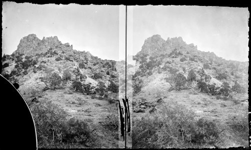 Scene on Red Creek, near Brown's Hole. Daggett County, Utah - NARA - 517411