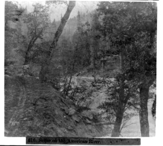 Scene on the American River LCCN2002720128