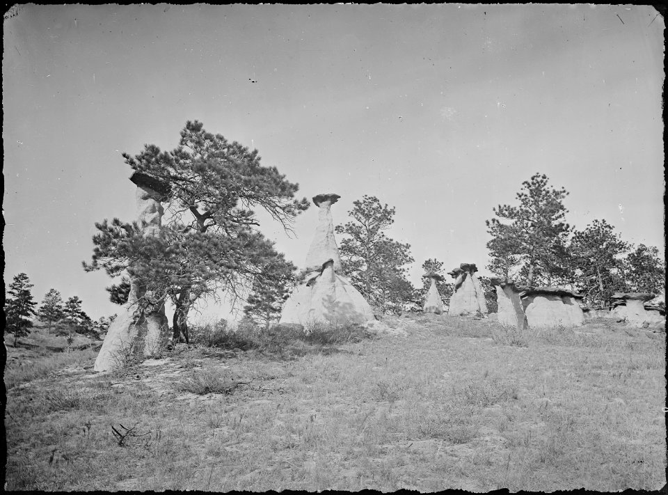 Scene in Monument Park, north of Colorado Springs. El Paso County, Colorado. - NARA - 516955