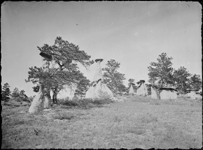 Scene in Monument Park, north of Colorado Springs. El Paso County, Colorado. - NARA - 516955