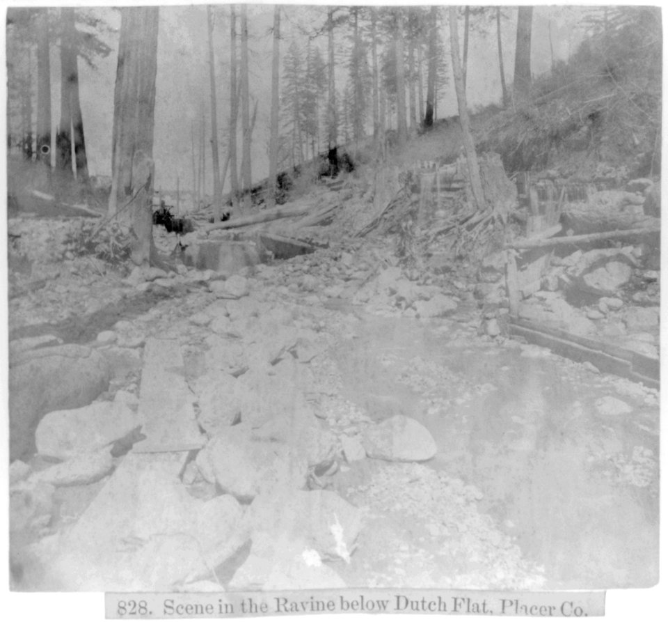 Scene in the Ravine below Dutch Flat, Placer County LCCN2002722200