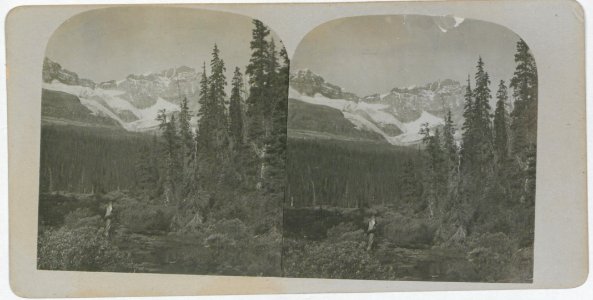Scene Near Lake O'Hara (HS85-10-20293) original