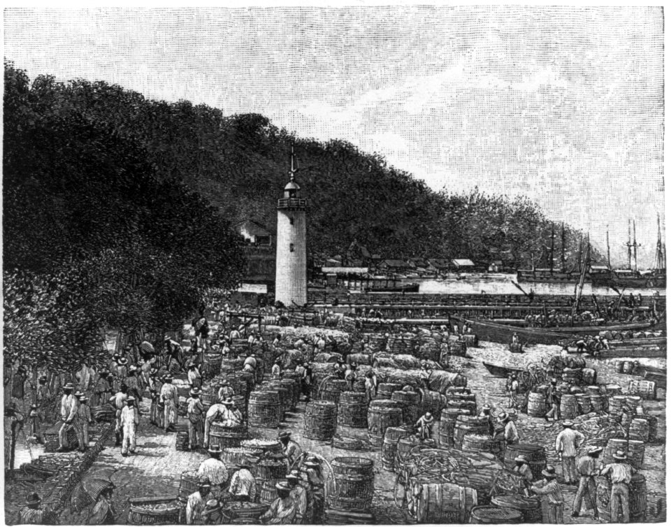 Scenes of St. Pierre, Martinique, before the 1902 eruption of Mount Pelee LCCN2002697967