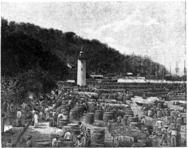 Scenes of St. Pierre, Martinique, before the 1902 eruption of Mount Pelee LCCN2002697967