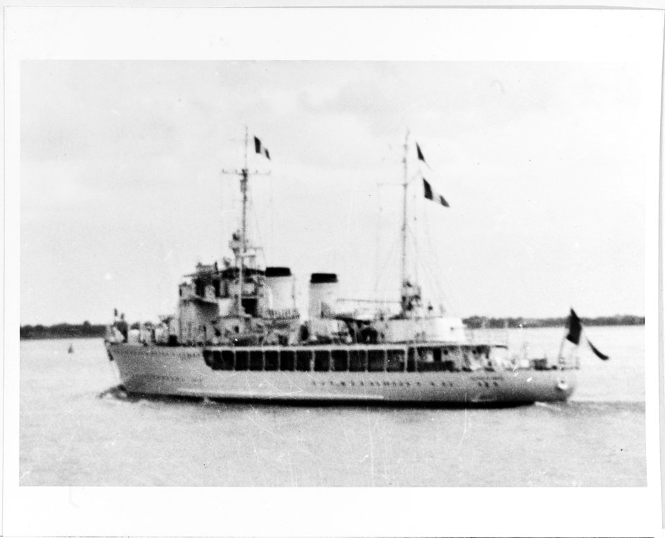 Savorgnan de Brazza NH 64268