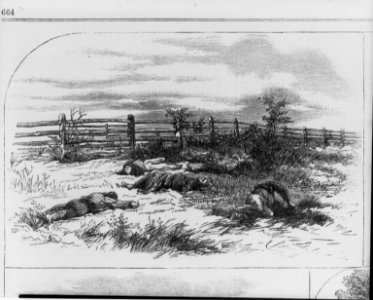 Scene showing dead soldiers on the battlefield of Antietam, Md. LCCN2004665638