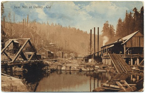 Saw Mill at Duffey