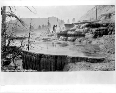 Scenery of the Yellowstone National Park. 217 Mammoth Hot Springs, lower basins, looking up LCCN95514229