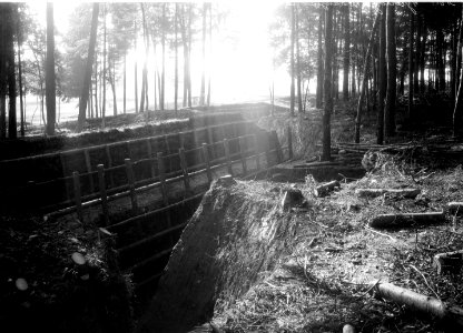 Schanzen im Wald des Werkes Wylerholz - CH-BAR - 3241756