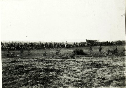 Scheinbatterie und maskierte Straße zwischen Rosulna und Kosmacz, 30.April 1917. (BildID 15590492)