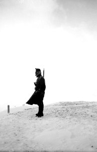 Schildwache auf der Dreisprachenspitze - CH-BAR - 3237046