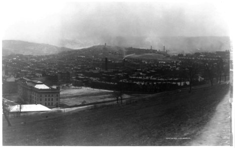 Schenley Park and vicinity, Pittsburg, Pa. LCCN95521199