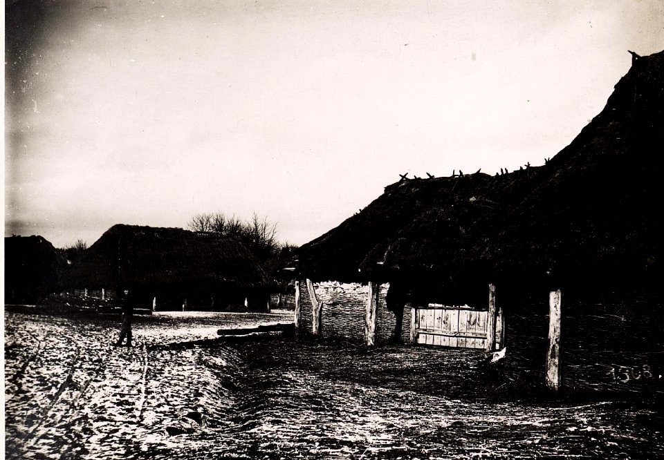 Scheunen in Piatydni. (19-II.1918.) (BildID 15712233)