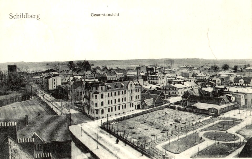 Schildberg Zamkowa Widok