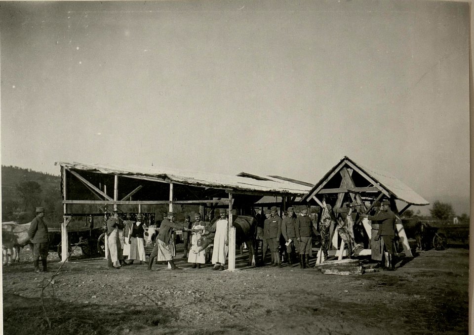 Schlachtviehdepot in M.Sziget (BildID 15716886)