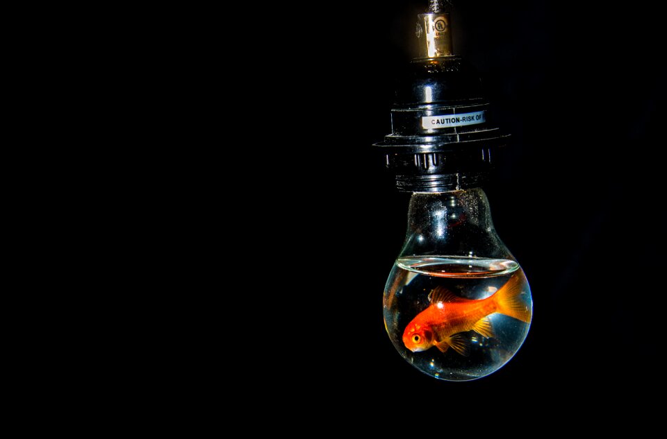Lighting energy idea