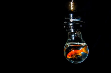 Lighting energy idea