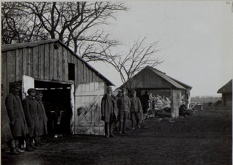 Schlachtviehdepot des 8.Korps, zum Waaghaus Pereshinsko Feb.1916 (BildID 15455254)