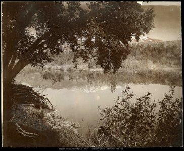 Scene on the Ogden River, Utah. Photo by C.R. Savage, Salt Lake.