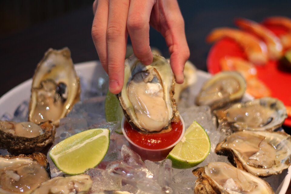 Oyster half shell seafood