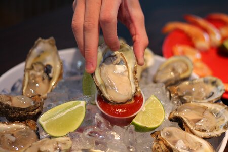Oyster half shell seafood photo