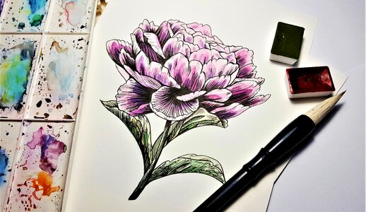 Flower pivonka brush