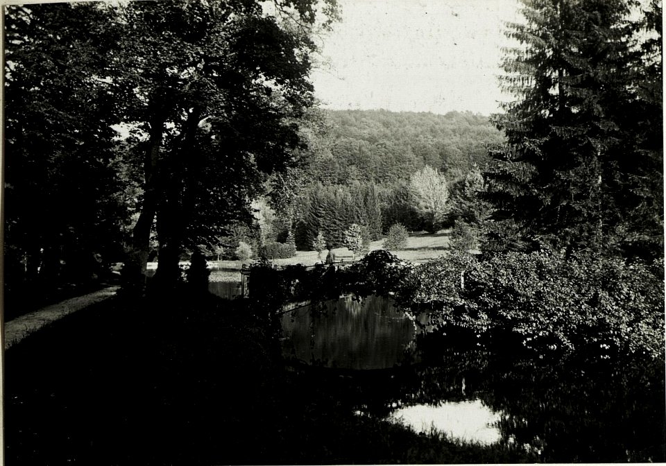 Schloss Raj bei Brzezany. Gartenanlage II (BildID 15432294)