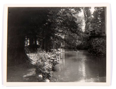 Schloss Hallwyls vallgrav - Hallwylska museet - 102246