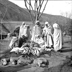 Schapenmarkt in Amoucha, 1890 (RHCL, VKG 061)