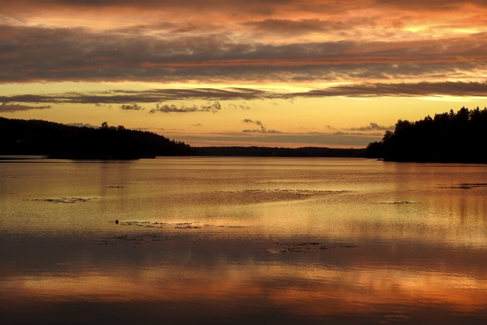 Summer finland nature