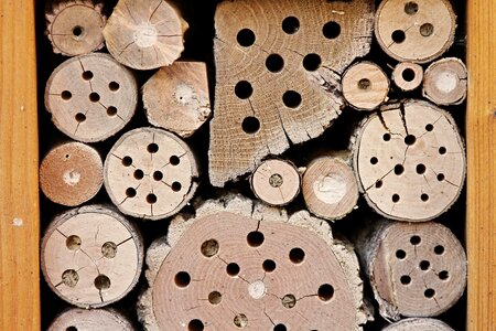 Perforated insect house bee hotel