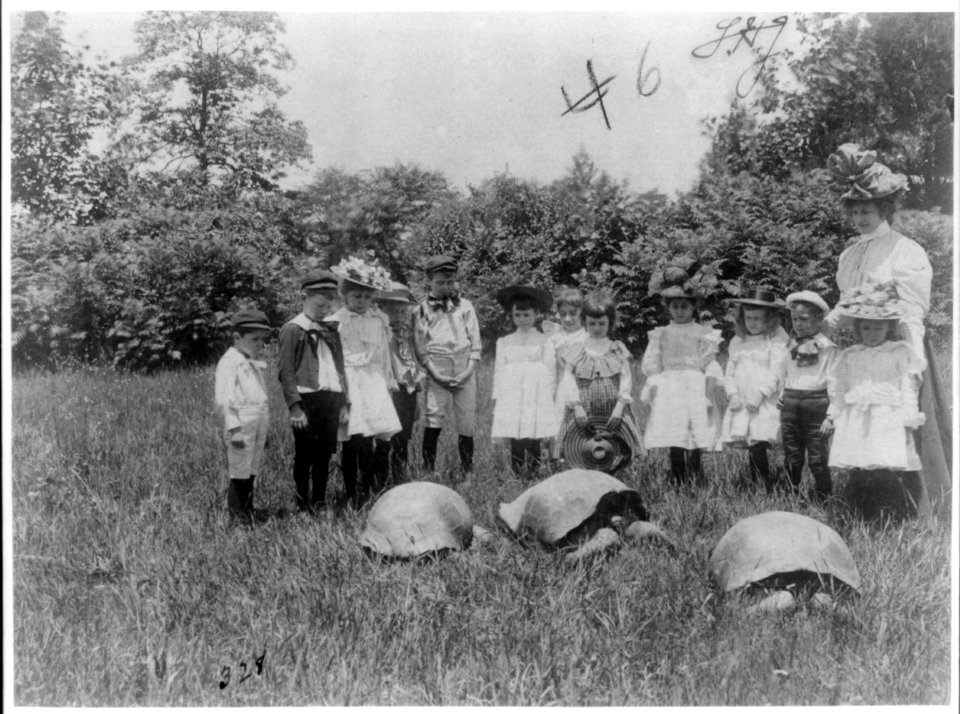 School children and three terrapin, Washington, D.C. LCCN2001703635
