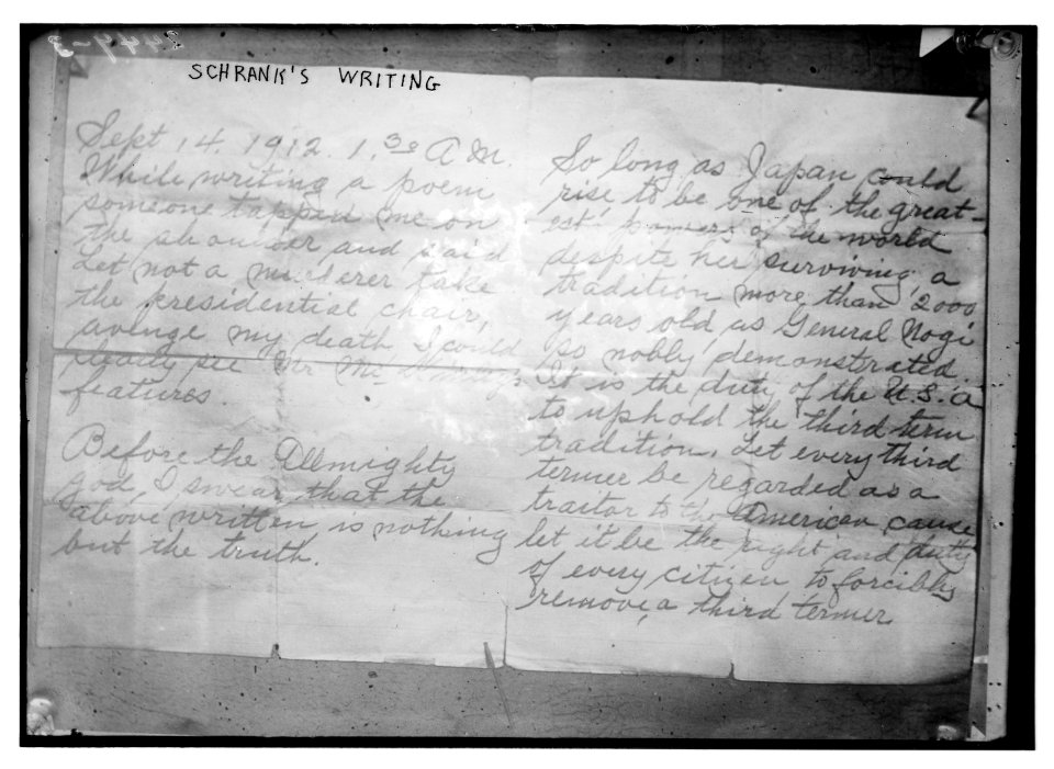 Schrank's writing LCCN2014690854