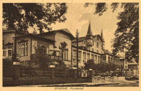 Schierke (Harz), Sachsen-Anhalt - Fürstenhof (Zeno Ansichtskarten)