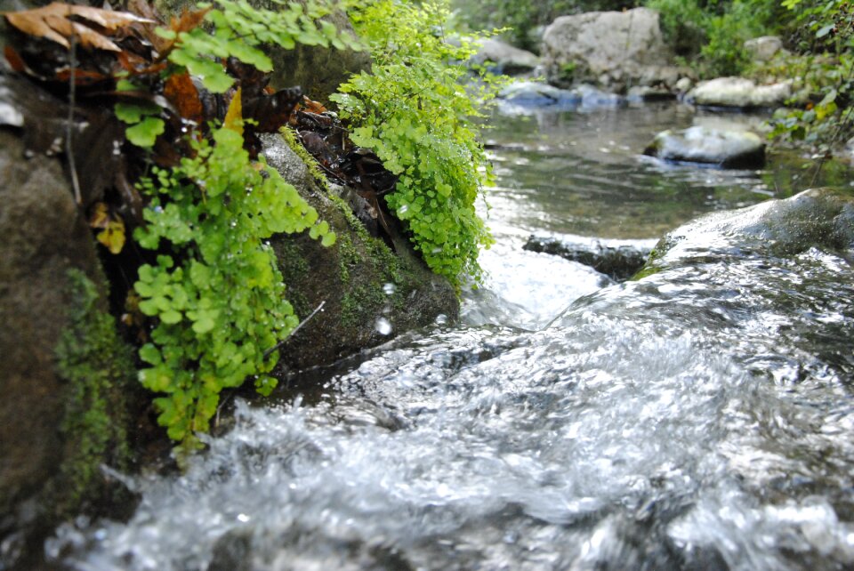 Galilee water mountain