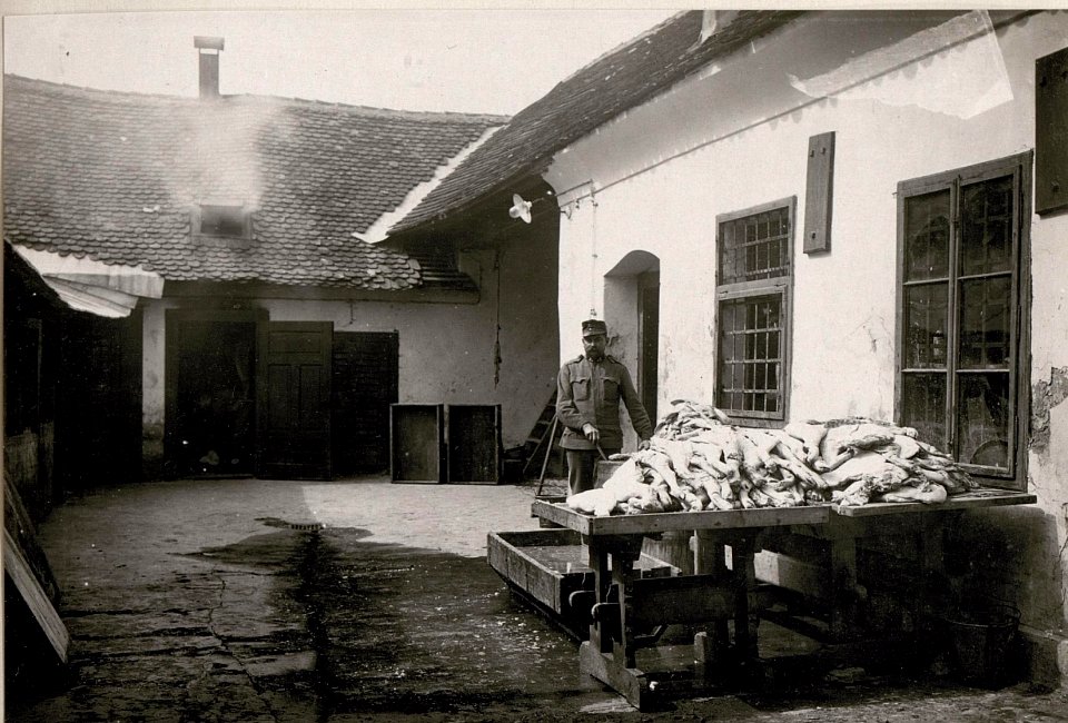 Schlachtviehdepot, Bistritz (BildID 15718993)