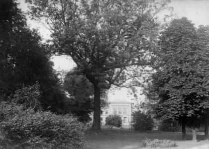 Schlossgarten (Kiel 51.914)