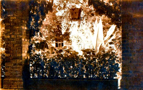 Schlosspark Berhometh 2